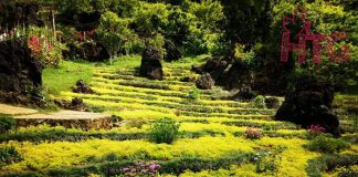 Go to Sapa – The calling of paradise in the high water season (Part 3) Sapa valley Vietnam