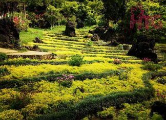 Go to Sapa – The calling of paradise in the high water season (Part 3) Sapa valley Vietnam