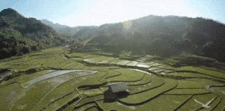 Về Sa Pa – Thiên đường gọi tên vào mùa nước đổ ( phần 3) Ruộng bậc thang ở Sapa