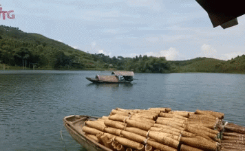 Volunteer Travel – Thac Ba lake – Yen Bai chronicle (part 2) Volunteer And Travel Vietnam