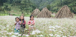 Group Travelling – Ha Giang in November – buckwheat flower season (part 2) Motorbike Trip Vietnam