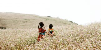 Group Travelling – Ha Giang in November – buckwheat flower season (part 3) Northern Vietnam Travel Motorbike