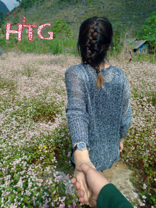 Ha Giang trekking buckwheat flower