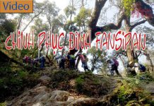 Chinh phục đỉnh Fansipan: Review kinh nghiệm leo Fansipan chi tiết, cụ thể cho bạn gái Chinh phục đỉnh Fansipan