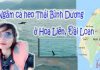 Review tour ngắm cá heo Đài Loan dành cho bạn gái – Kỷ niệm ấn tượng ở Hoa Liên xem cá heo Hoa Liên Đài Loan