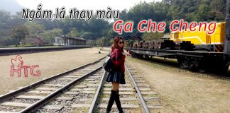 Review và hướng dẫn đi chơi ngắm lá phong ở ga Che Cheng (Đài Trung) du lịch ga che cheng đài trung