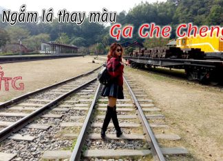 Review và hướng dẫn đi chơi ngắm lá phong ở ga Che Cheng (Đài Trung) du lịch ga che cheng đài trung