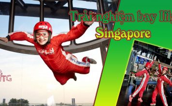 Review cực chi tiết và thú vị về trải nghiệm bay không trọng lực IFly Singapore Vé Ifly Singapore