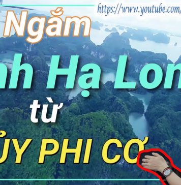Bay ngắm Vịnh Hạ Long bằng Thủy Phi Cơ: trải nghiệm thật sự đắt giá! Thủy phi cơ bay ngắm vịnh Hạ Long