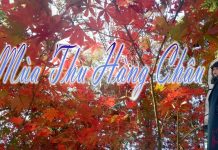 Du lịch Hàng Châu tự túc thơ mộng và dễ dàng – Con gái ơi, đi thôi!