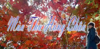 Du lịch Hàng Châu tự túc thơ mộng và dễ dàng – Con gái ơi, đi thôi!