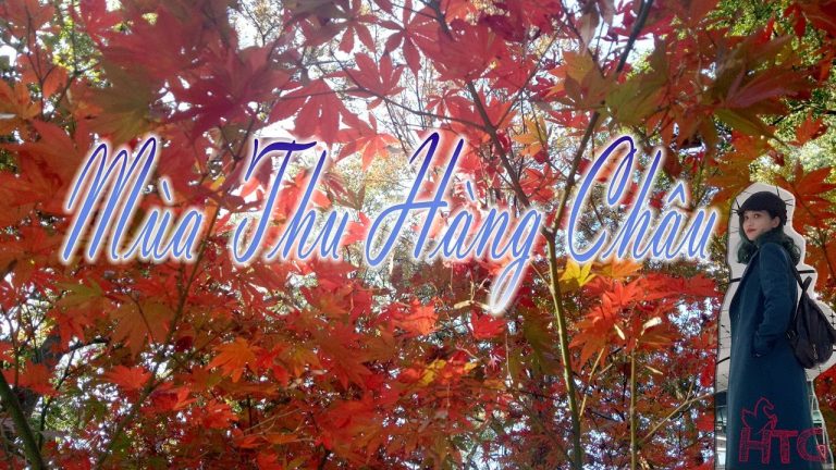 Du lịch Hàng Châu tự túc thơ mộng và dễ dàng – Con gái ơi, đi thôi!