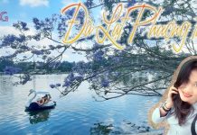 Niềm vui nho nhỏ của Con Gái khi du lịch Đà Lạt tự túc 1 mình